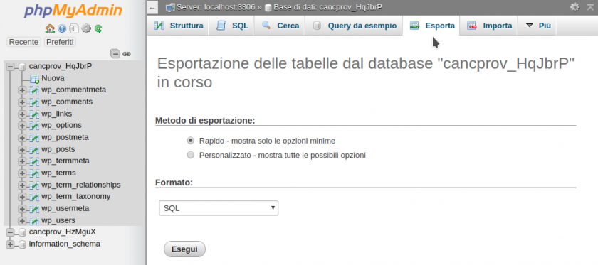 Screenshot_selezione_esporta.png